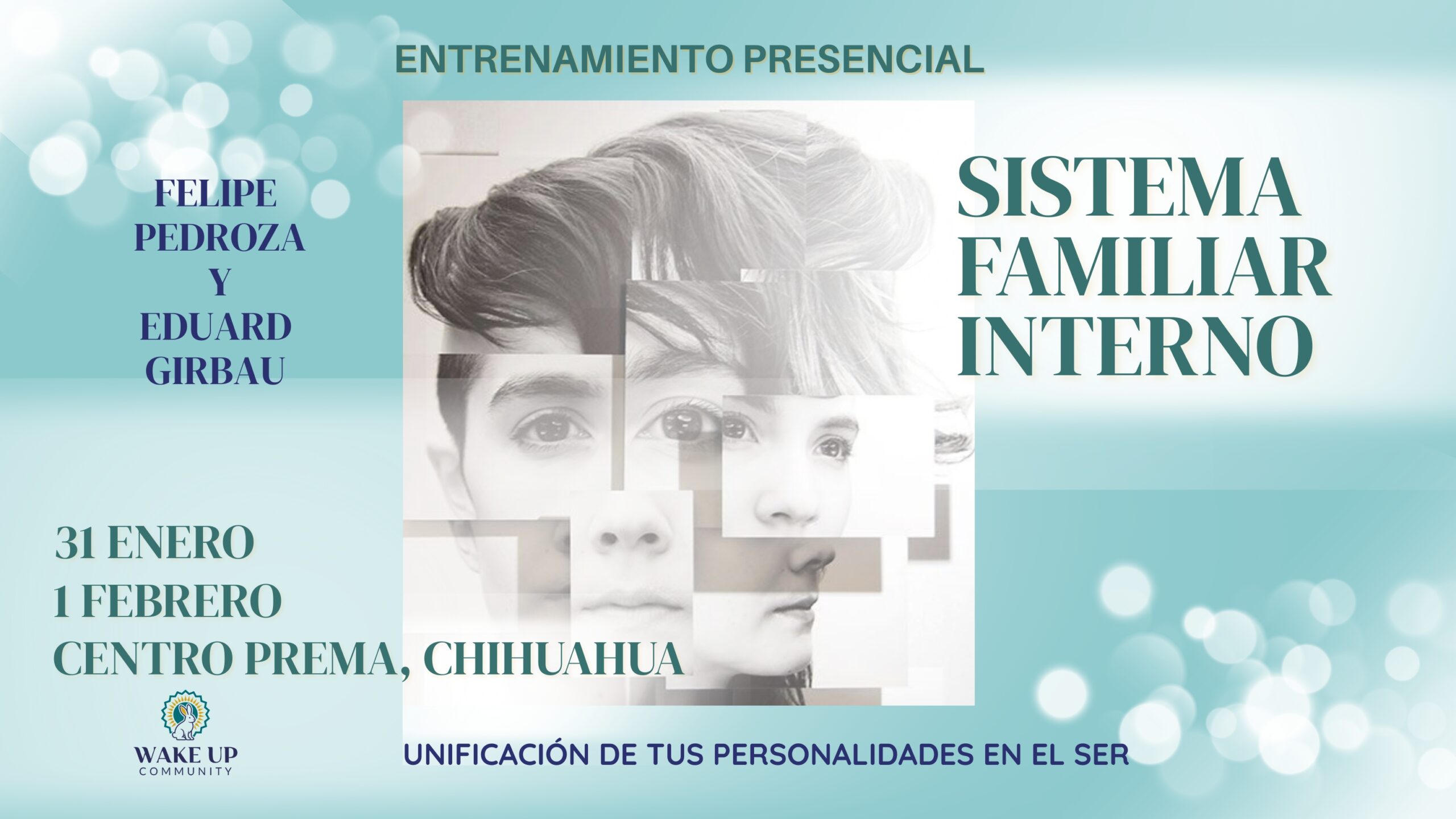 Entrenamiento en Sistema Familiar Interno: Curso Básico de 12 Horas