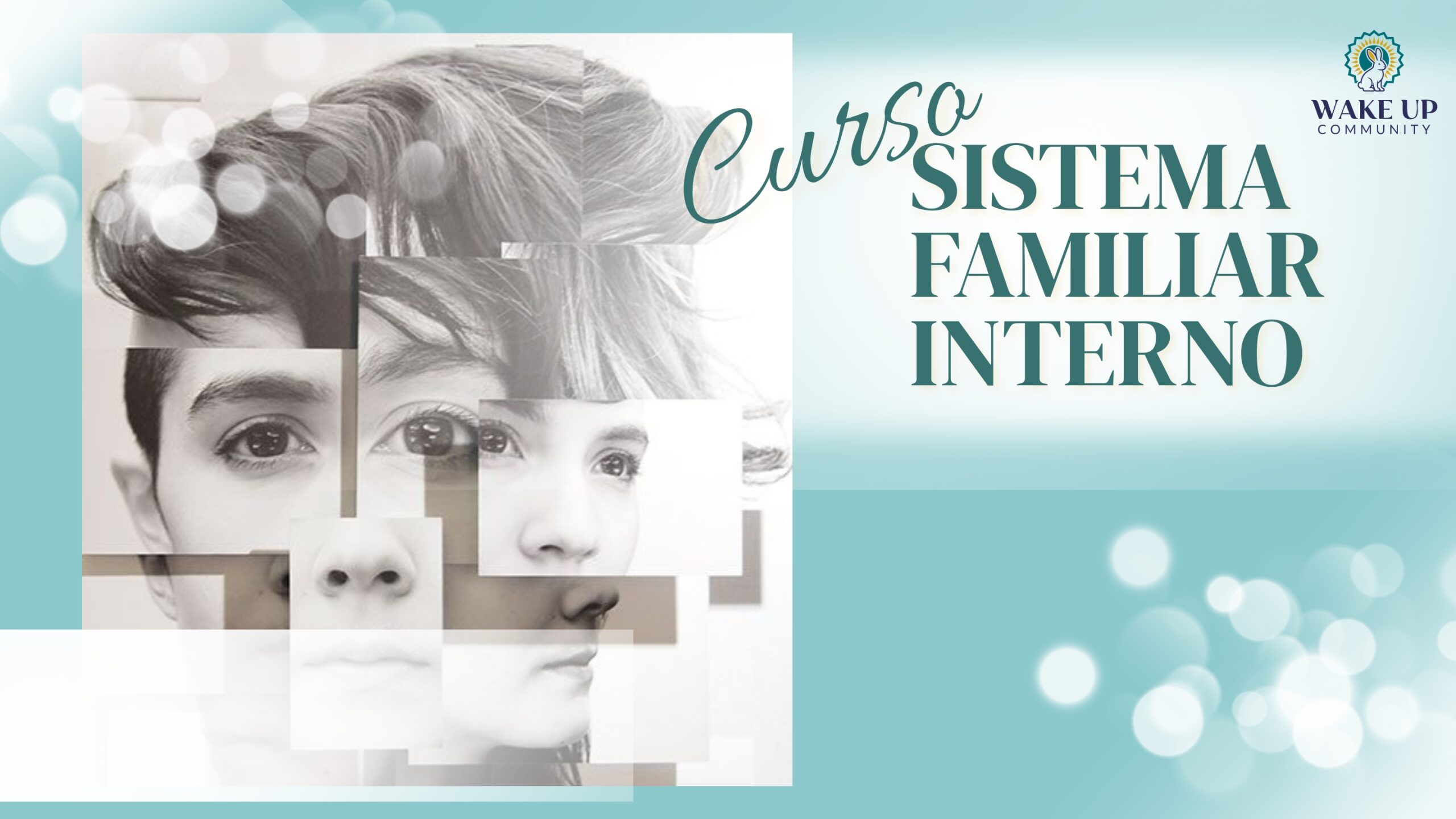 Entrenamiento en Sistema Familiar Interno: Curso Básico de 12 Horas